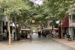 Santa Cruz de Tenerife, Tenerife 94