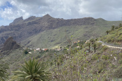 Satul Masca, Tenerife 10