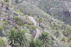Satul Masca, Tenerife 24
