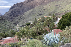 Satul Masca, Tenerife 31