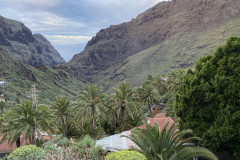 Satul Masca, Tenerife 33