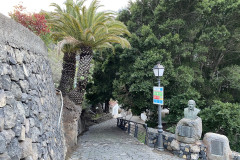 Satul Masca, Tenerife 36