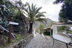 Satul Masca, Tenerife 41