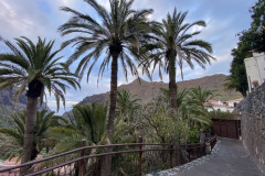 Satul Masca, Tenerife 44