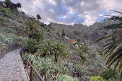 Satul Masca, Tenerife 48