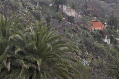 Satul Masca, Tenerife 49