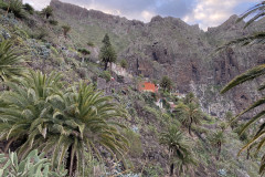 Satul Masca, Tenerife 50