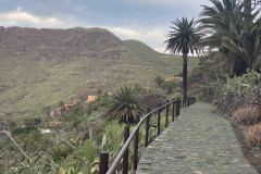 Satul Masca, Tenerife 58