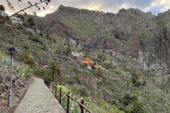 Satul Masca, Tenerife 59