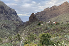 Satul Masca, Tenerife 61