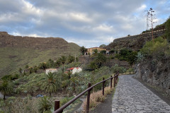 Satul Masca, Tenerife 65