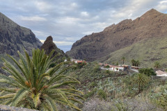 Satul Masca, Tenerife 66