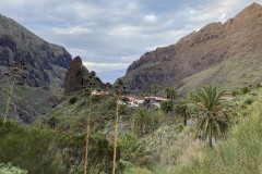 Satul Masca, Tenerife 69