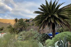 Satul Masca, Tenerife 73