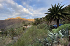 Satul Masca, Tenerife 74