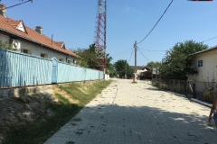 Satul Mila 23 Delta Dunării 43