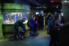 Sea Life London Aquarium 11