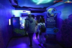 Sea Life London Aquarium 28