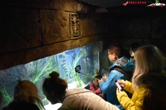 Sea Life London Aquarium 31
