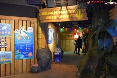 Sea Life London Aquarium 38