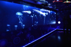Sea Life London Aquarium 42