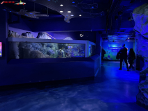 Sea Life London Aquarium septembrie 2024 76