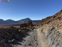 Sendero de Montaña Blanca din Tenerife 05