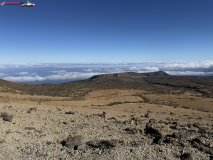 Sendero de Montaña Blanca din Tenerife 16