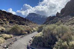 Sendero Roques de García, Tenerife 07