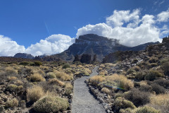 Sendero Roques de García, Tenerife 102