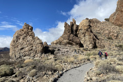 Sendero Roques de García, Tenerife 103