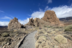 Sendero Roques de García, Tenerife 104