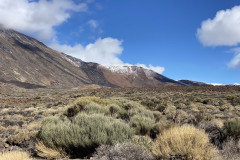 Sendero Roques de García, Tenerife 107