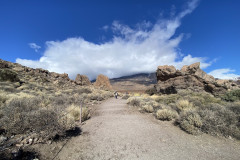 Sendero Roques de García, Tenerife 113