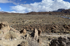 Sendero Roques de García, Tenerife 116