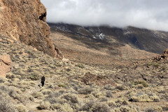 Sendero Roques de García, Tenerife 14