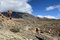 Sendero Roques de García, Tenerife 142