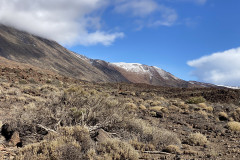 Sendero Roques de García, Tenerife 19