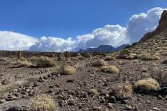 Sendero Roques de García, Tenerife 20