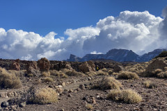 Sendero Roques de García, Tenerife 21