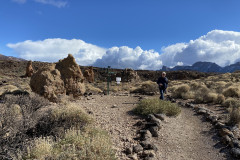 Sendero Roques de García, Tenerife 27