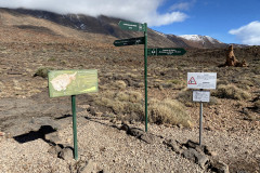 Sendero Roques de García, Tenerife 28