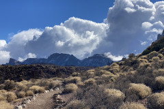 Sendero Roques de García, Tenerife 33