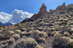 Sendero Roques de García, Tenerife 34