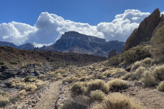 Sendero Roques de García, Tenerife 39