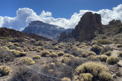 Sendero Roques de García, Tenerife 54