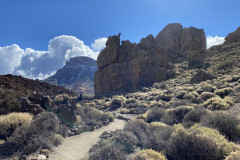 Sendero Roques de García, Tenerife 59