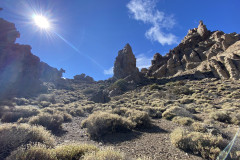 Sendero Roques de García, Tenerife 65