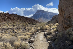 Sendero Roques de García, Tenerife 67