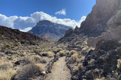 Sendero Roques de García, Tenerife 69